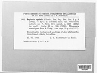 Image Associated With the Occurence